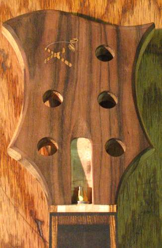 Closeup of the bass guitar's headstock with bocote Xylem logo, macassar ebony headstock veneer, Gibson-style truss rod adjustment nut and ebony fretboard