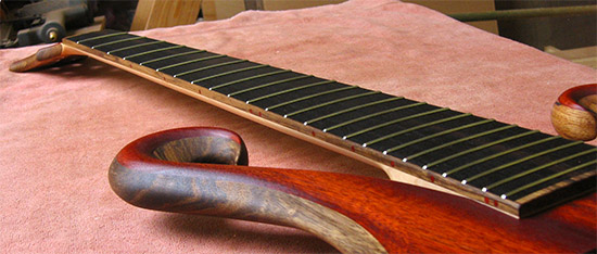 Fret markers on a 6 string custom bass with bloodwood body