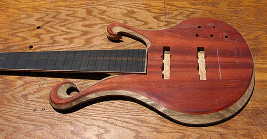 6 string bass with ebony fretboard, bloodwood top, black limba body