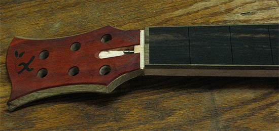 6 string bass headstock with bloodwood veneer