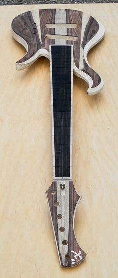 Custom 6-string bass build w/ reverse inline headstock