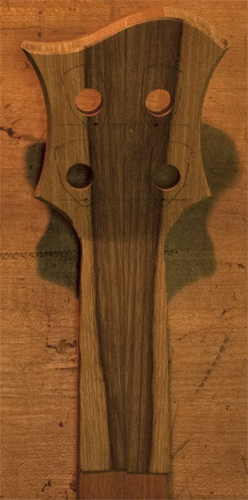 Headstock of a 4 string custom bass