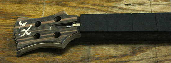 Custom bass headstock with macassar ebony veneer