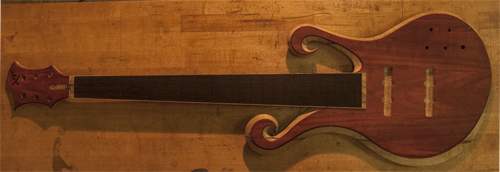 A 6 string custom bass with bloodwood top and ebony fretboard