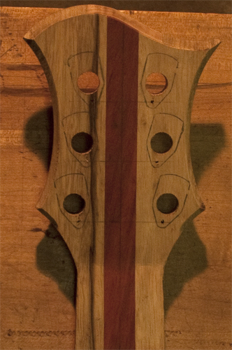 Xylem 6 string bass headstock with bloodwood stripe