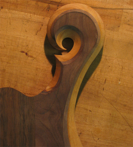 Back of the scroll of a Xylem custom bass with black walnut top wood over a mahogany core
