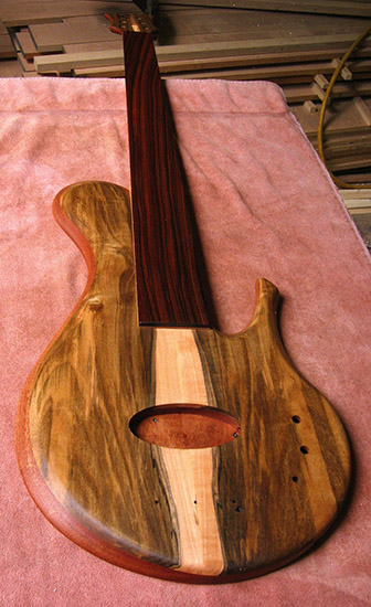 Fretless 5 string bass Delano Xtender pickup