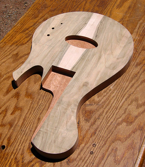 Single-cut bass body with spalted maple top