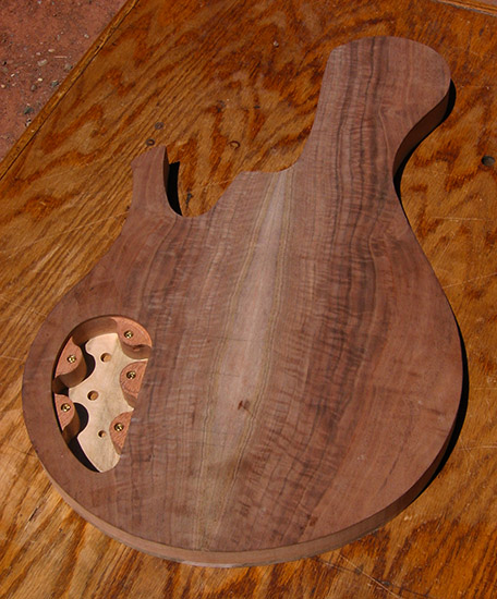 5 string bass body with single-cutaway shape, back