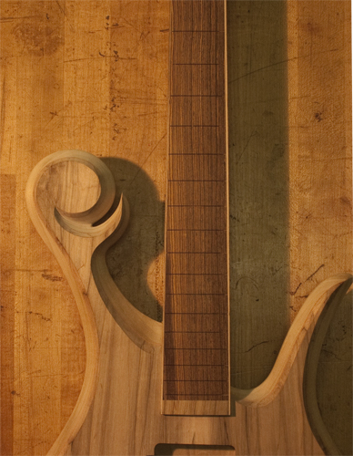 Xylem signature scroll on a 4 string custom bass