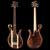 Xylem 5 string custom bass with Basslines pickups