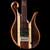Body of the Xylem 5 string bass guitar