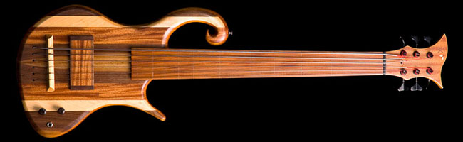 6 string fretless bass guitar with rainbow top