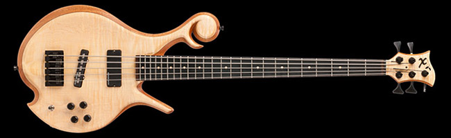 5 string custom bass with curly maple top, mahogany body
