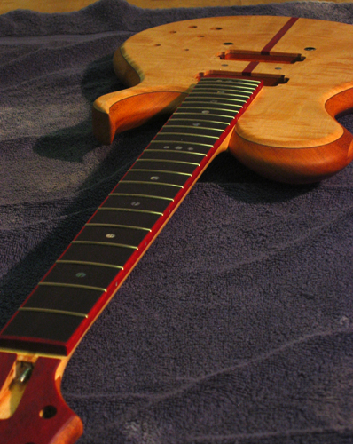 Custom guitar with Jescar frets, blood wood binding and boid de rose fingerboard