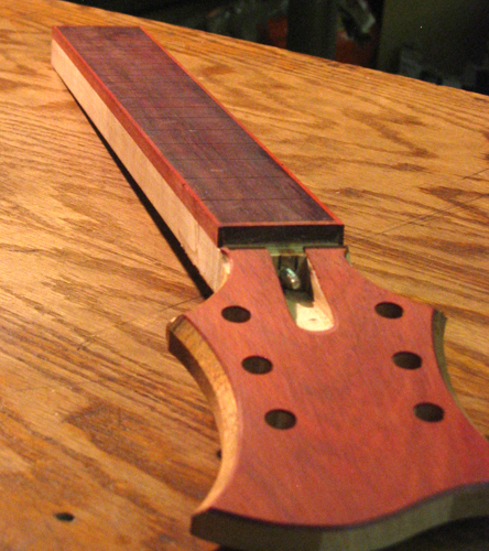 Bloodwood headstock, truss rod channel and neck of the custom guitar