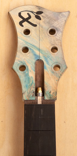 Xylem guitar headstock withe ebony inlay and colored cap