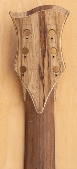 Back of a Xylem guitar build made of black limba and Peruvian walnut