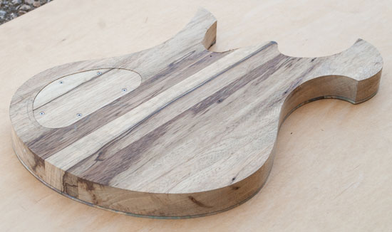 Exotic Xylem guitar body made of black limba
