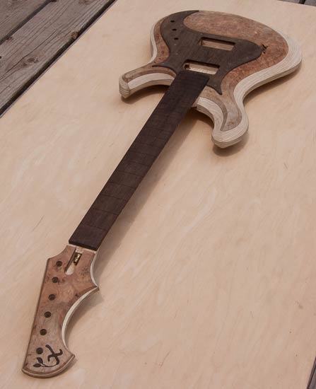 Custom guitar, maple burl body and headstock