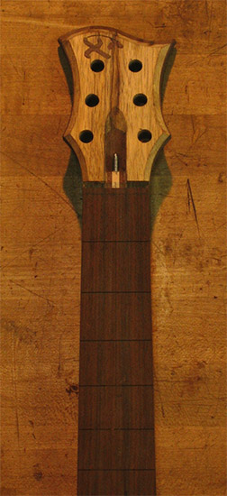 Xylem logo inlaid into a black limba guitar headstock