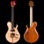 Xylem single cut guitar with flamed maple top
